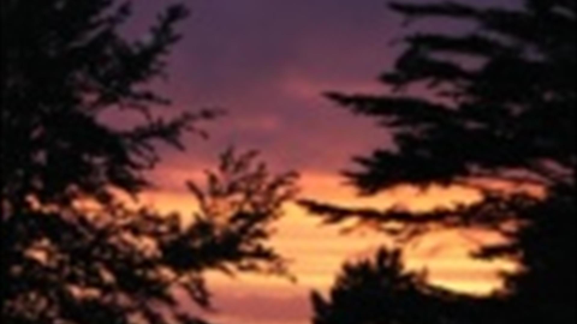 Image is a photo of a sunset and trees at the Lagan Valley Regional Park