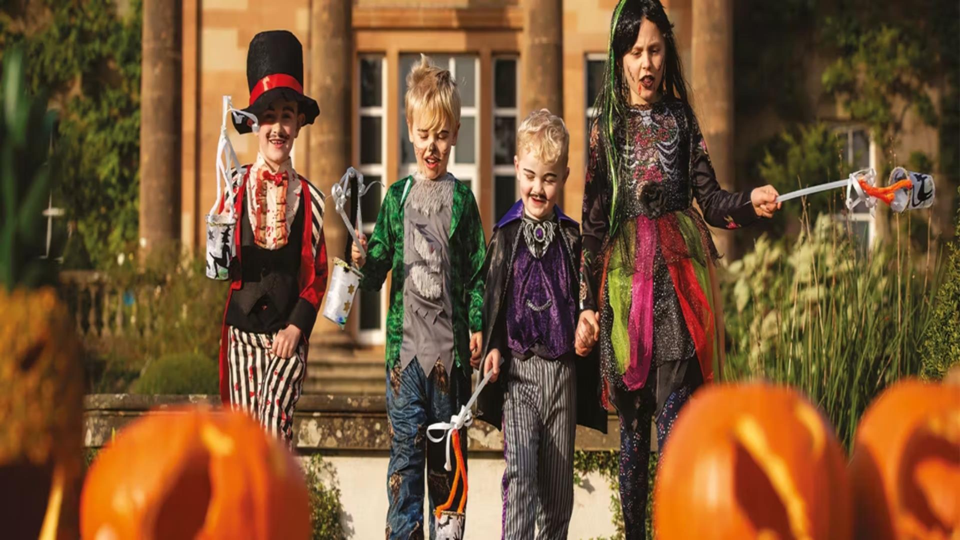 Children dressed in Halloween costumes and pumpkins outside Hillsborough Castle