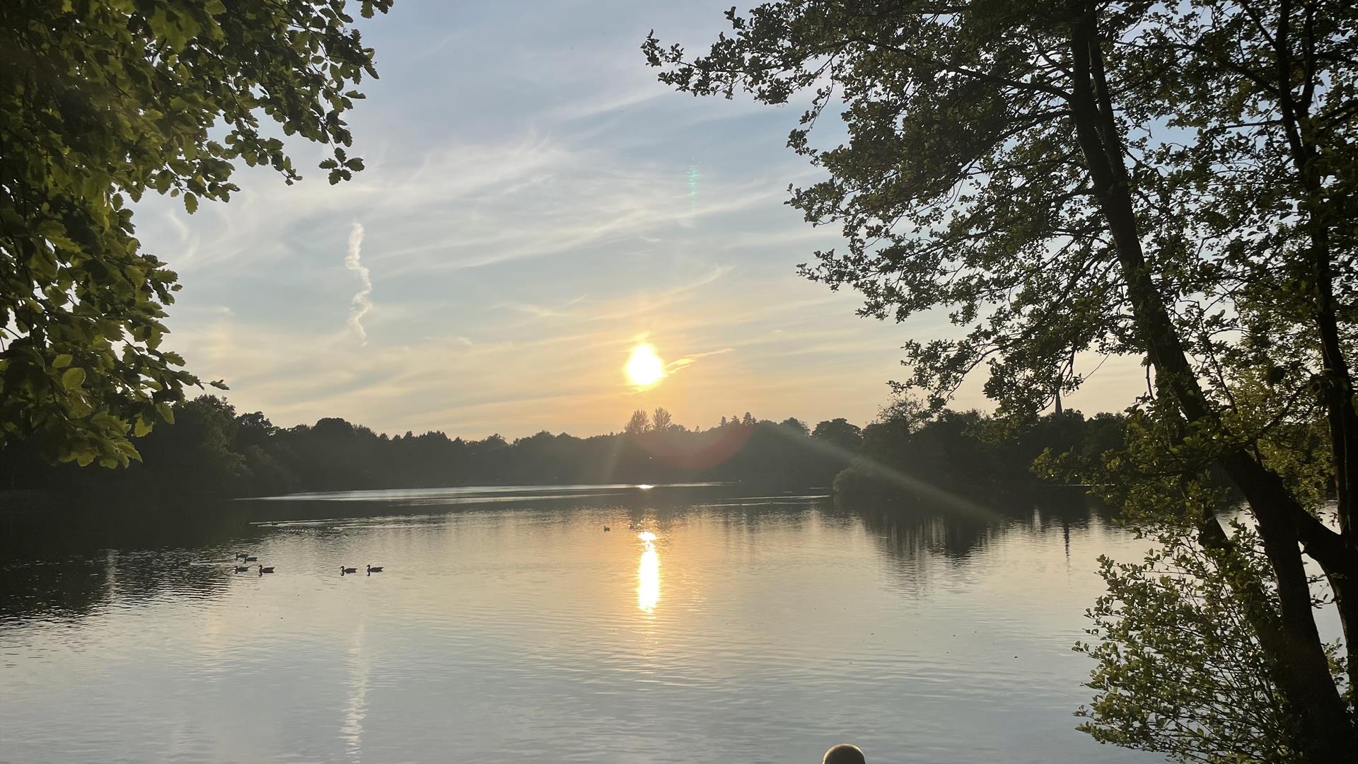 Close up of a picnic box of delicious treats including raspberries, traybakes, iced cupcakes, sandwiches, strawberries, a little salad and tiny sausag