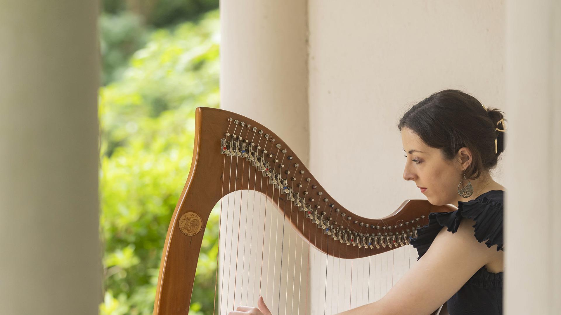 harpist playing