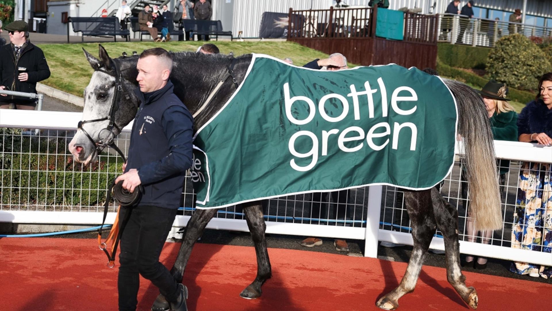 Picture of horse wearing being led around the ring