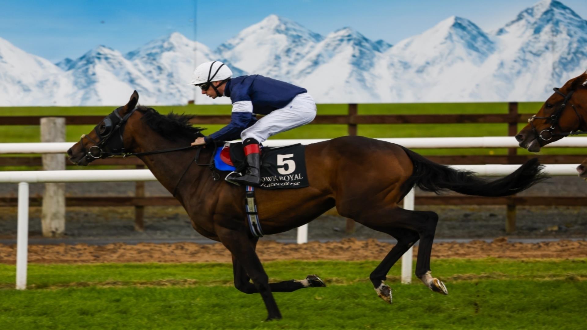 Image shows jockey on horse in Molson Coors Race Day