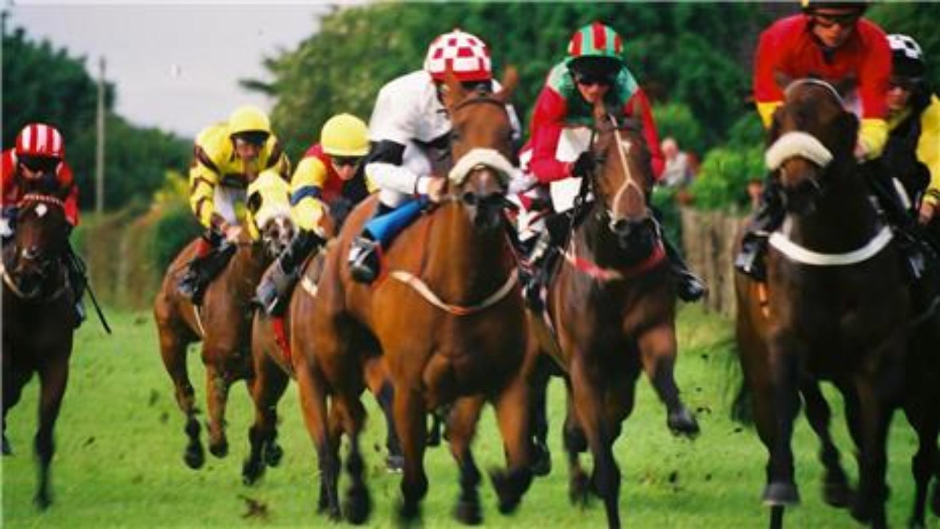 Image shows horses racing at Down Royal with Jockeys wearing a variety of colours