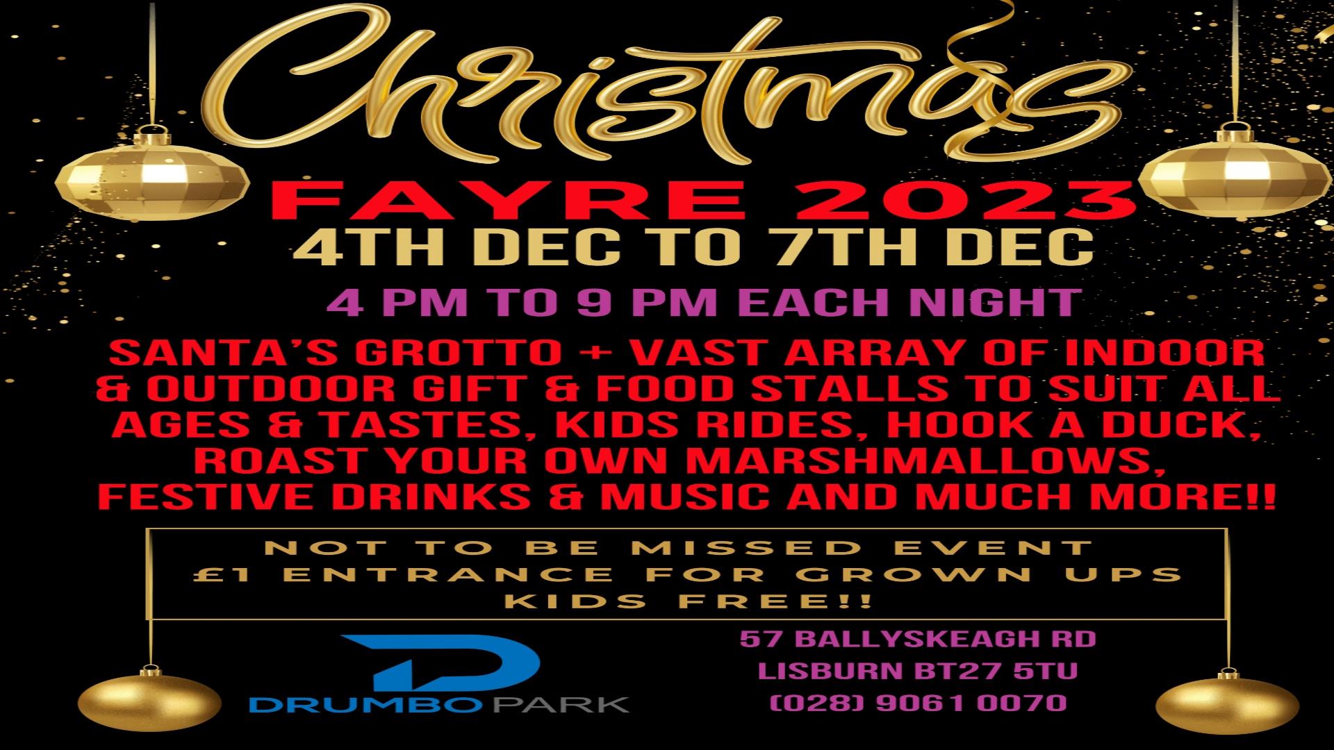 Poster for Christmas Event at Drumbo Park