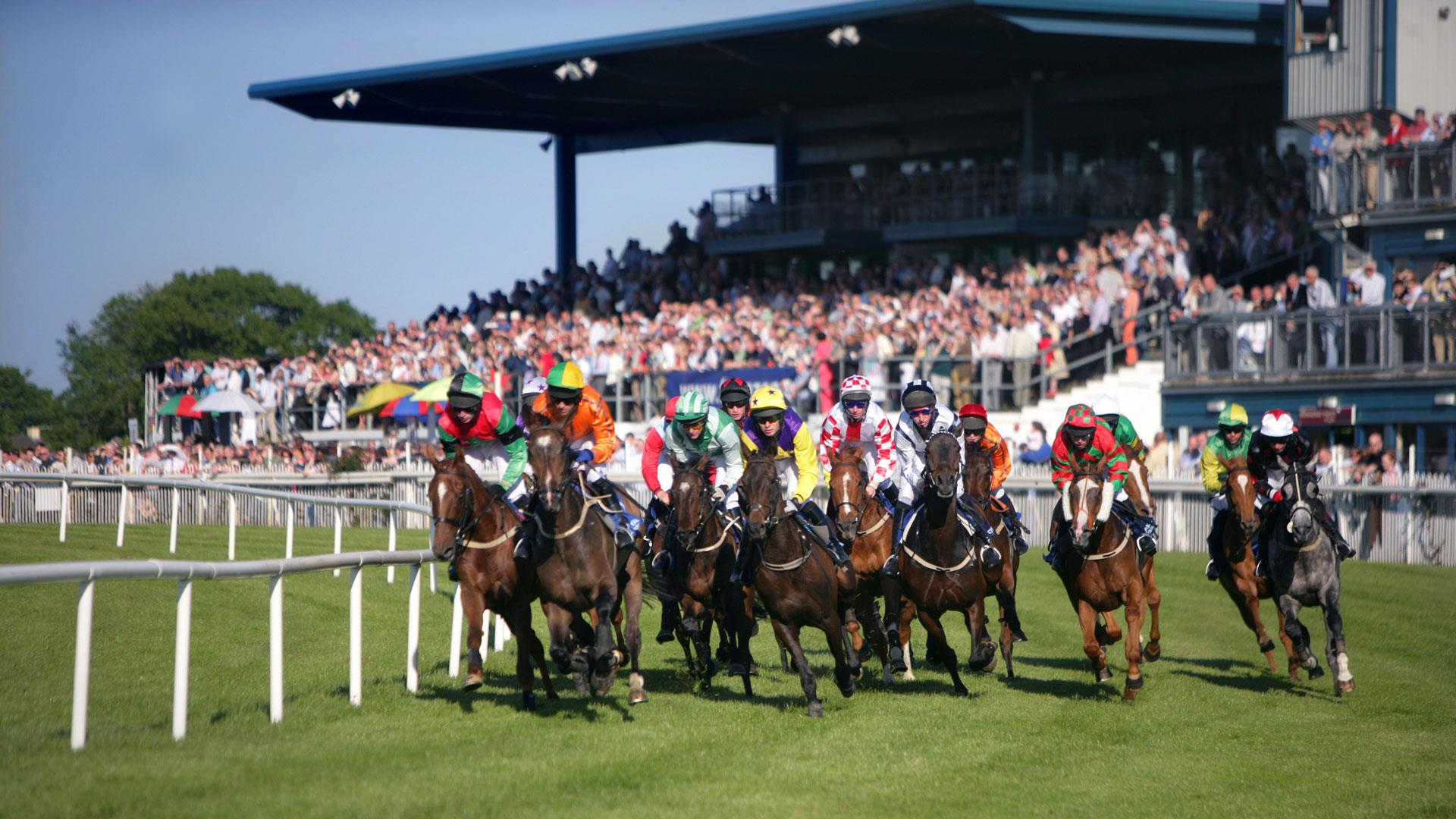 Images of horses on the racecourse at Down Royal