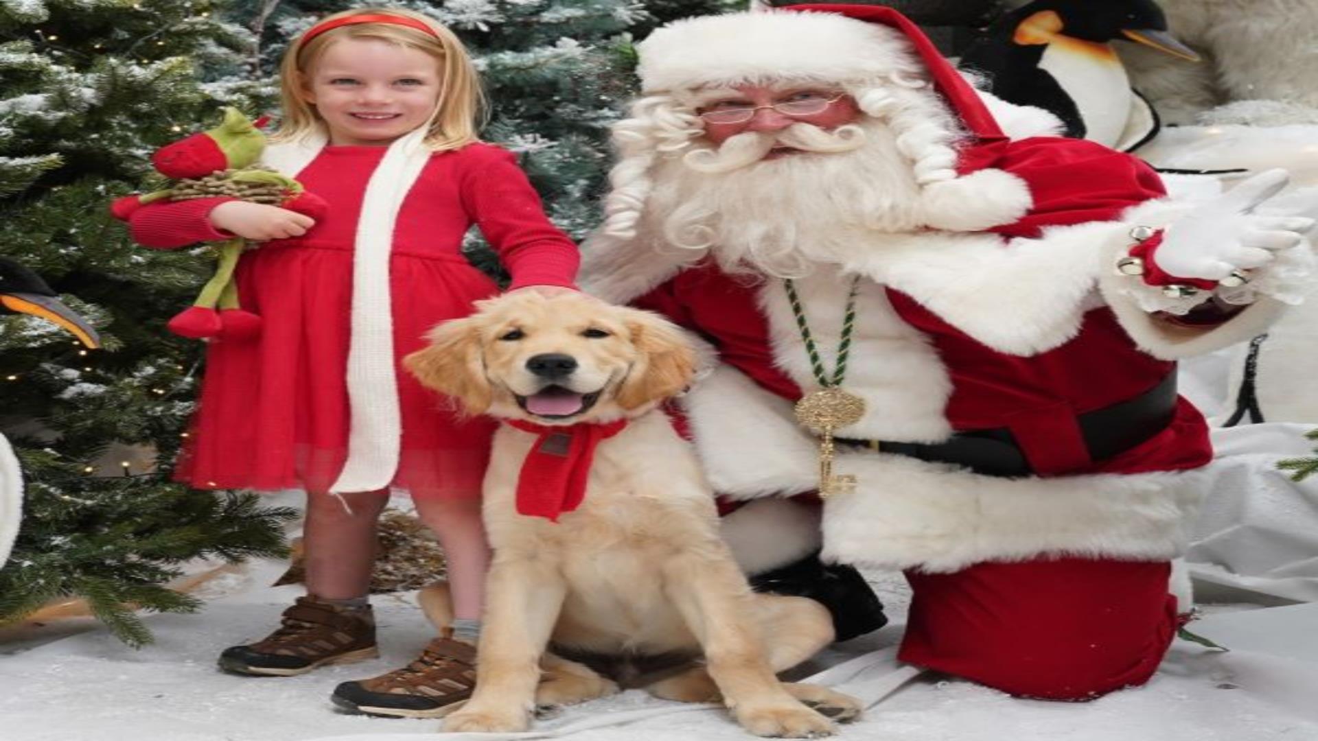 Image is of Santa Claus, a little girl and a dog