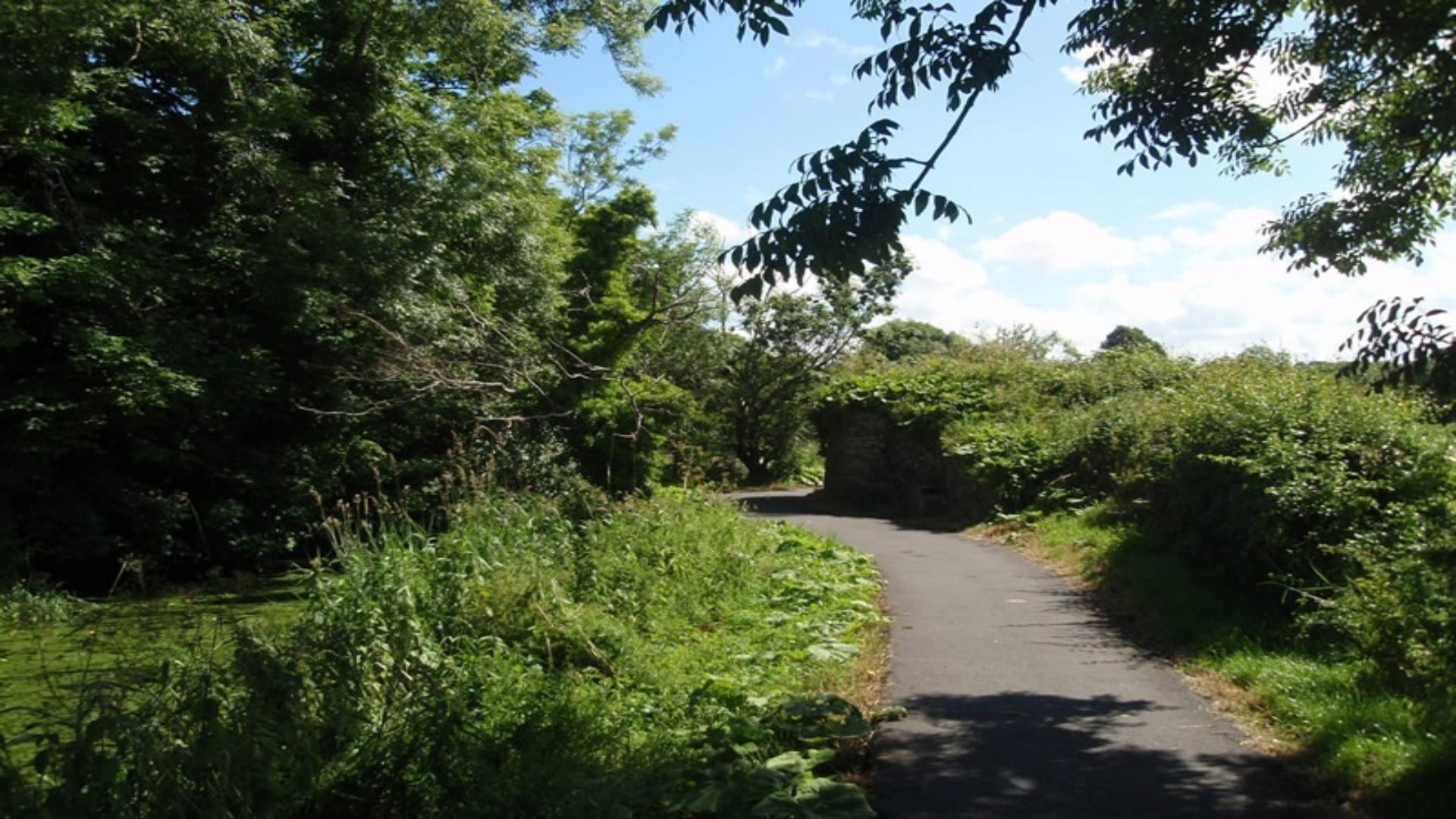 Image of the Lagan Valley Regional Park greenery and walking path