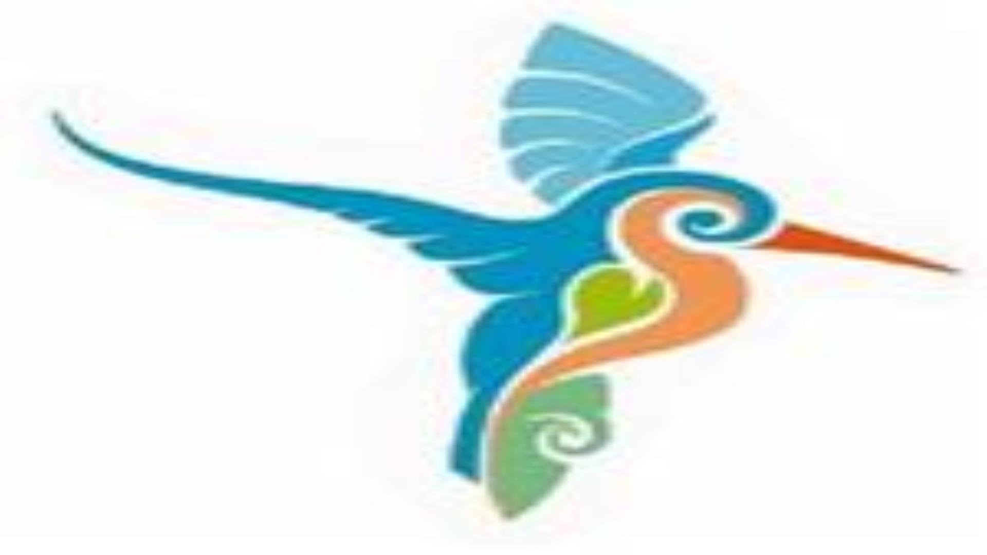 Image is a kingfisher the logo of the Lagan Valley Regional Park