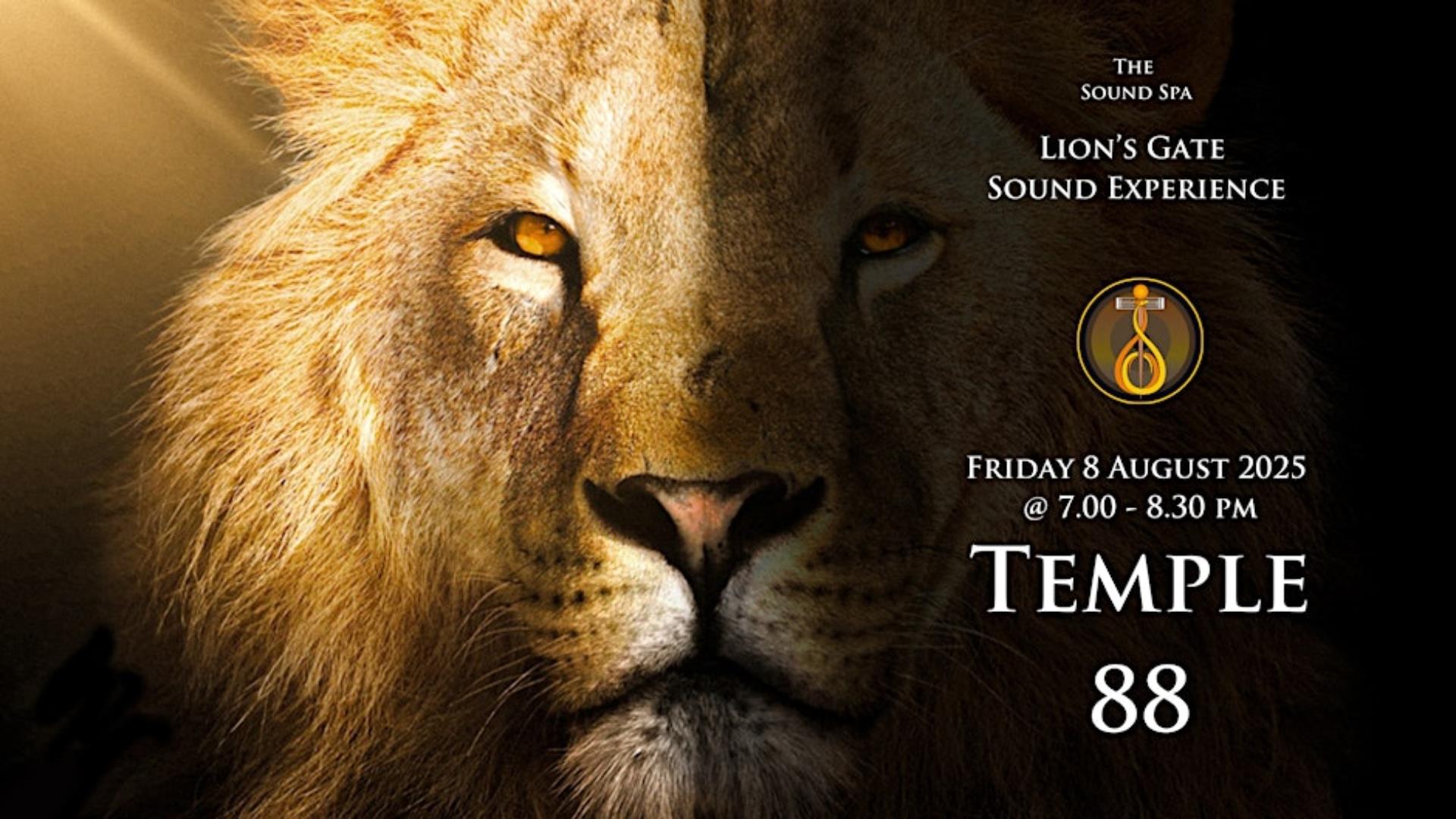 Image is of a lion advertising a sound bath at the sound healing spa in Lisburn