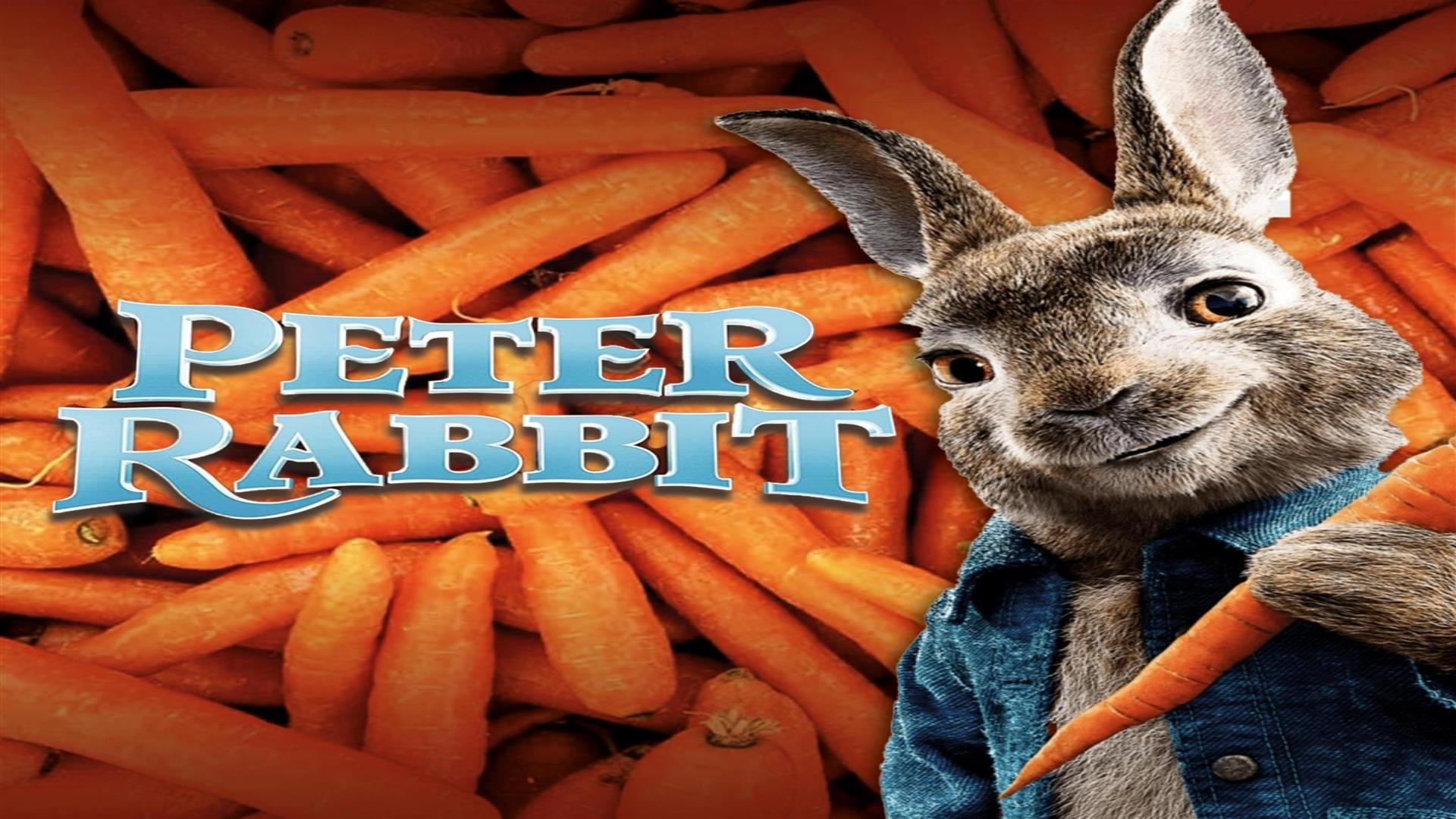 Image is of a rabbit and lots of carrots