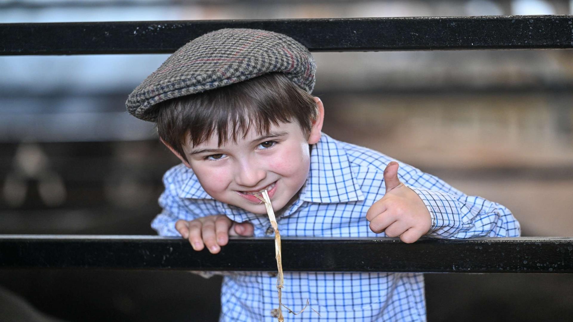 Young boy leaning over fence