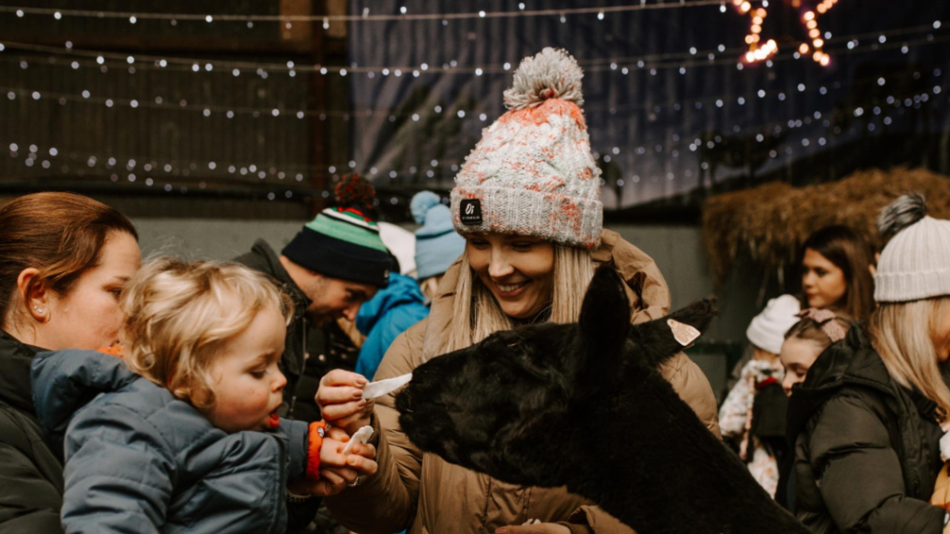 Streamvale Magical Christmas Experience