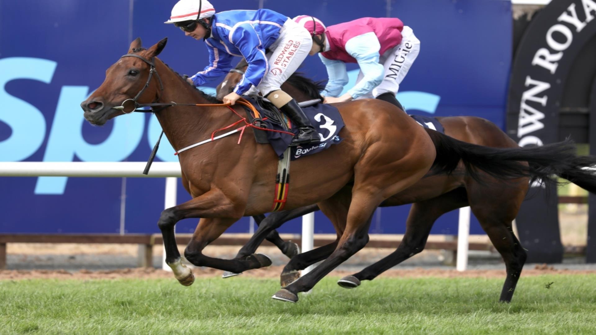 Image of two jockeys on race day