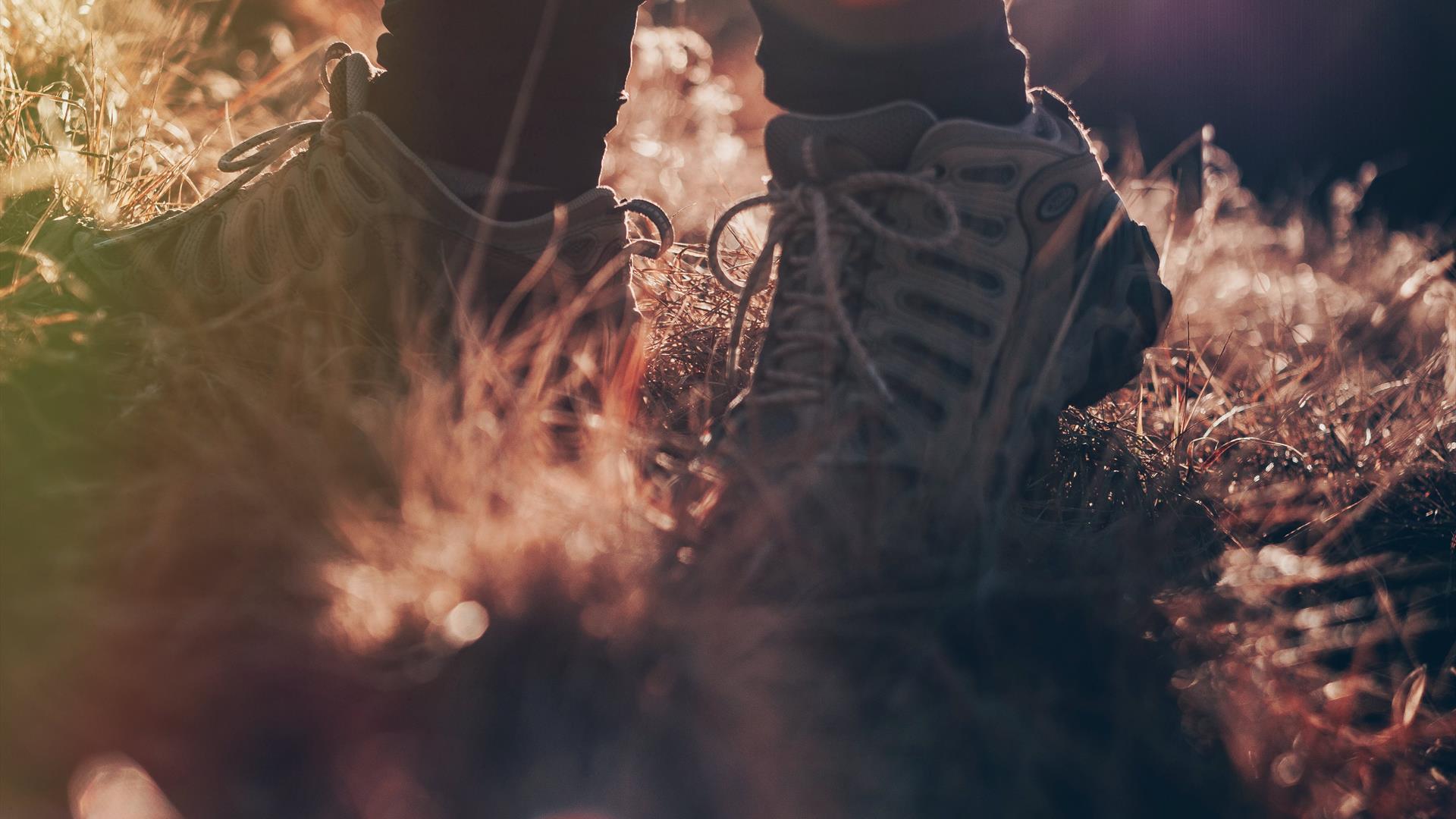 An image of a person wearing walking boots