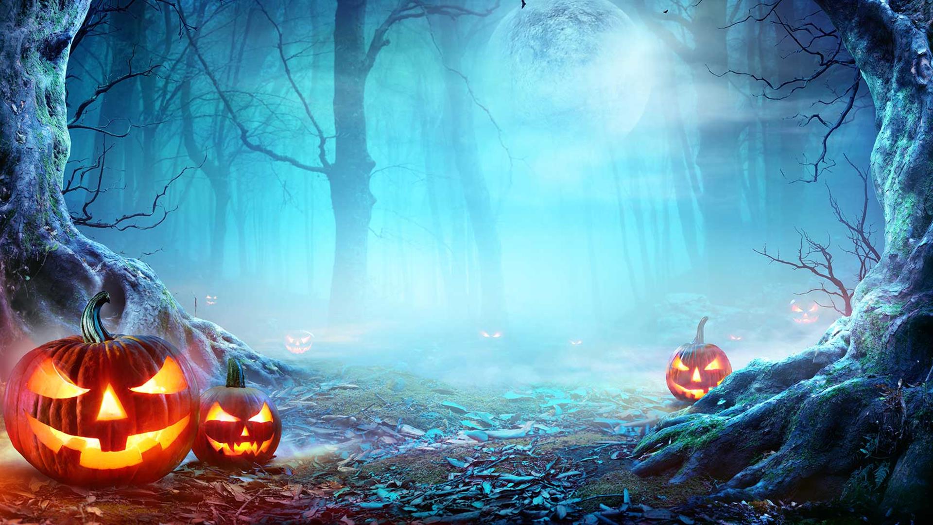 Ballyburren Halloween Spook & Pumpkin Pick Event