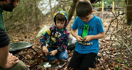 Children in Forest