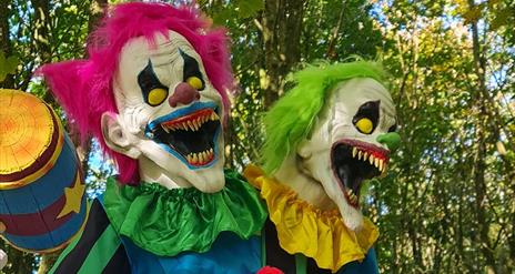 Pumpkin Patch and Halloween Spook Event
