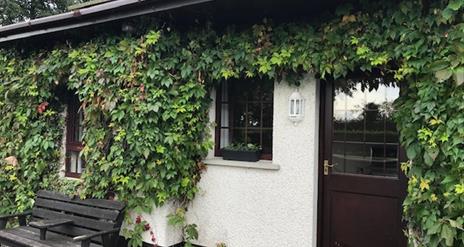 Image shows front of property covered in ivy