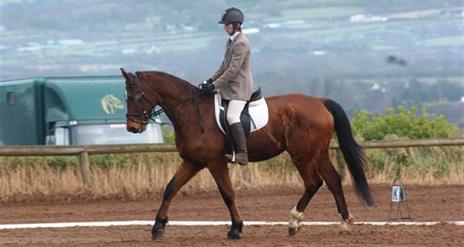 Image shows rider on a horse in a field with countryside in the background