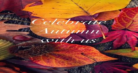 Image is of colourful Autumn leaves