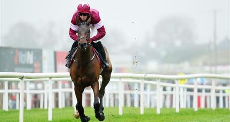 Image shows horse and jockey on the race course at Down Royal