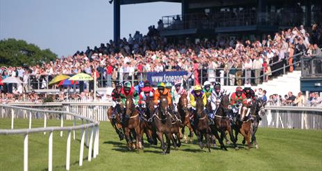 Horse racing at the Down Royal Racecourse with horses running along the track with spectators in background