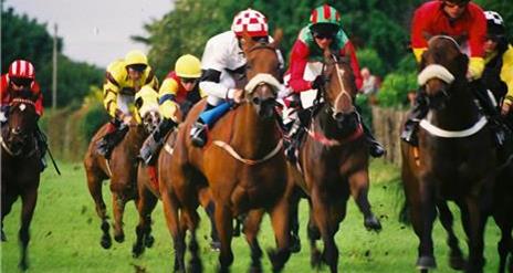 Image shows group of horses with jockeys wearing brightly coloured sportwear