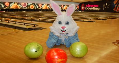Image shows white rabbit with pink ears and paws on cheeks looking at 3 bowling balls.