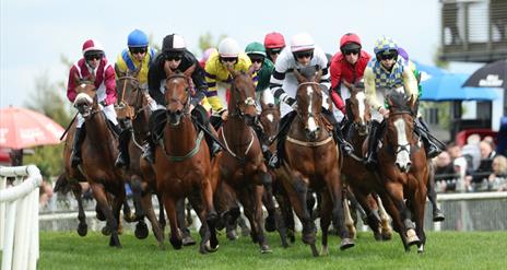 Horses racing around the bend