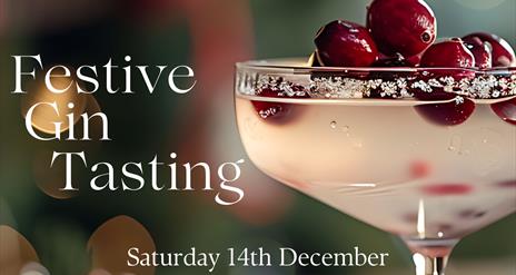 Image is of a glass of gin with olives on top