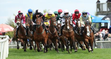 Image shows Jockey riders on race day