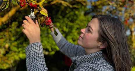 Eco-Friendly Christmas Wreath Making Experience