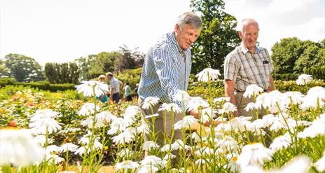 Garden Workshops