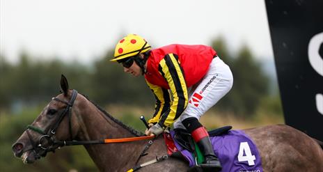 Picture of jockey in red riding on horse