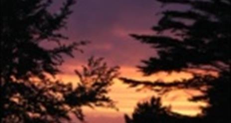 Image is a photo of a sunset and trees at the Lagan Valley Regional Park