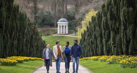 Two couples walking up a yew lined pathway with daffodils on either side.