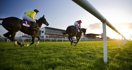Image shows jockeys riding horses on race day.