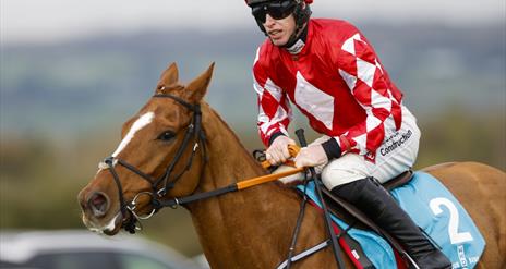 Jockey riding horse wearing red and white top