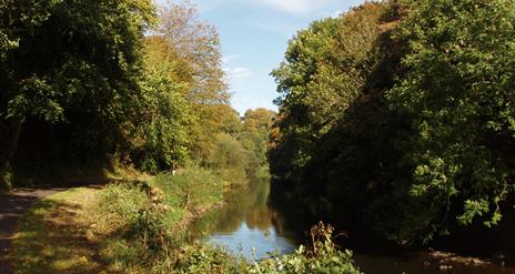 Image is of river and trees in the park