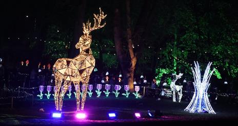 Image is of Lisburn Light Trail 2024 in Castle Gardens