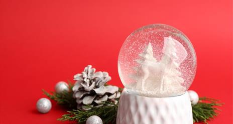 Picture of a Christmas Snow Globe