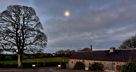 Image shows the stone building of Mill farm on the right hand side with a large tree to the left and overlooked by moonlight