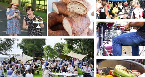 Several images from the Moira Food fair of live music, people eating, food etc