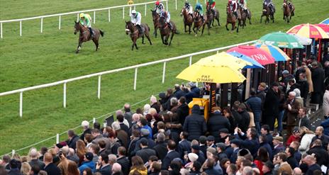 Horses racing with spectators in the background
