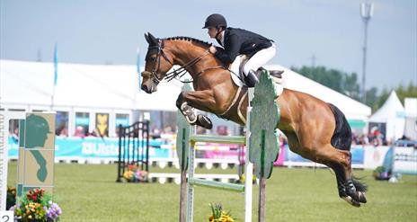 Image is of a horse and its rider jumping over a hurdle