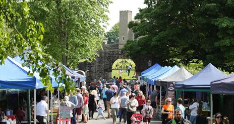 Visitors at stalls, Hillsborough Fort in the background and trees.
