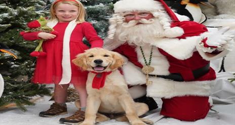 Image is of Santa Claus, a little girl and a dog