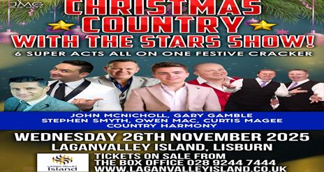 Image is of poster showing the various musicians performing at A Christmas with the Country Stars show