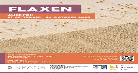Image is an exhibition of flax by Alice Fox
