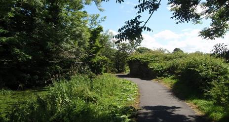 Image of the Lagan Valley Regional Park greenery and walking path